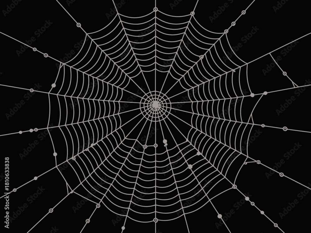 Naklejka premium A haunting and detailed illustration of a spider web against a solid black background, conveying themes of entrapment and beauty in nature's design, perfect for various artistic uses.