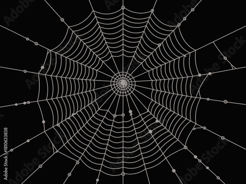 A haunting and detailed illustration of a spider web against a solid black background, conveying themes of entrapment and beauty in nature's design, perfect for various artistic uses.