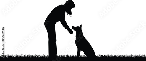 Woman training obedient dog in grassy outdoor field silhouette scene showing pet care, dog training, companionship and animal behavior interaction
