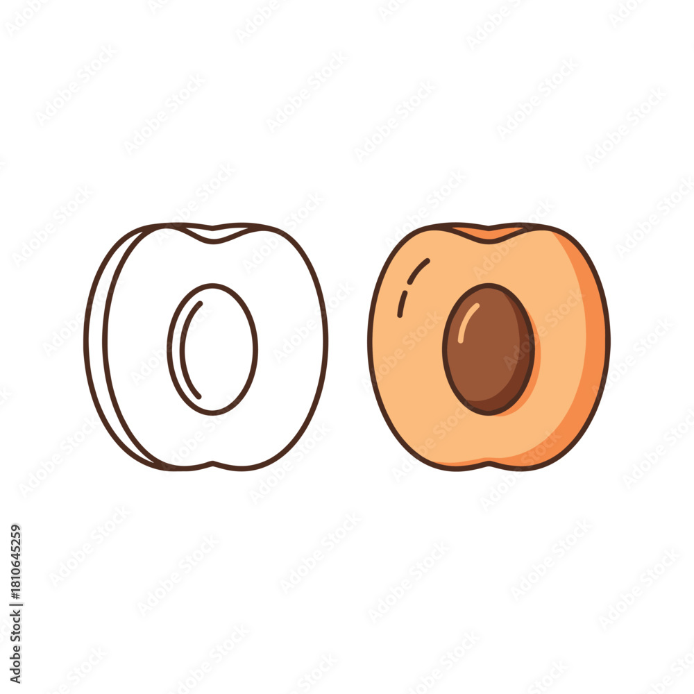 Fototapeta premium Peach in color and outline isolated on vector illustration