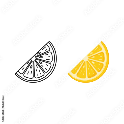 Lemon slice with outline and color isolated on illustration