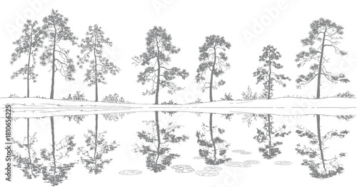 Architectural tree line drawing in minimal CAD style featuring clean side-view outlines of wetland forest elements suitable for landscape design, garden planning, and vector illustration projects.