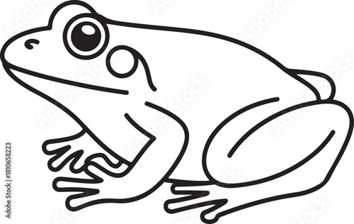 Simple black outline illustration of a frog with large eyes and webbed feet amphibian