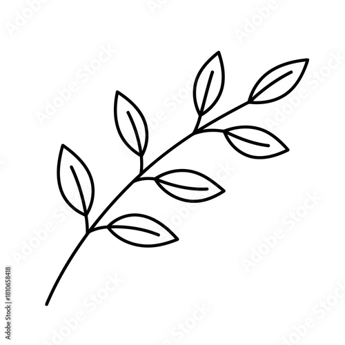 A delicate sprig of leaves, its slender stem adorned with symmetrical foliage, isolated on, a testament to natures simple elegance