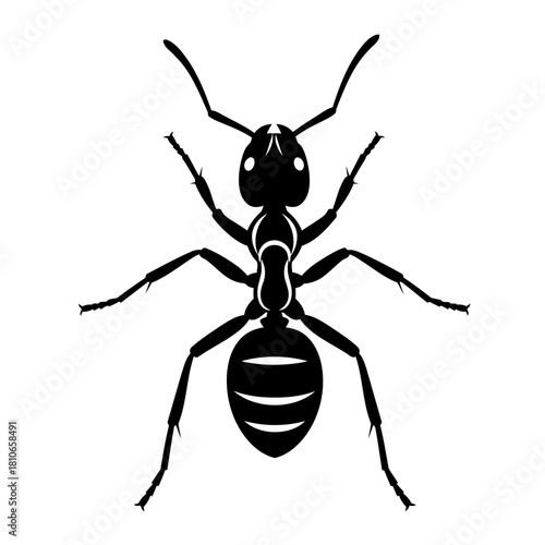 Simple yet striking silhouette of an ant, showcasing its distinctive form, isolated on perfect for minimalist designs