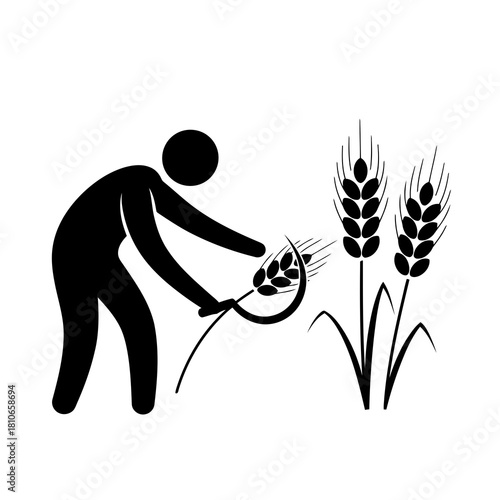 Illustration of a farmer harvesting wheat with a sickle, representing agriculture and traditional farming isolated on
