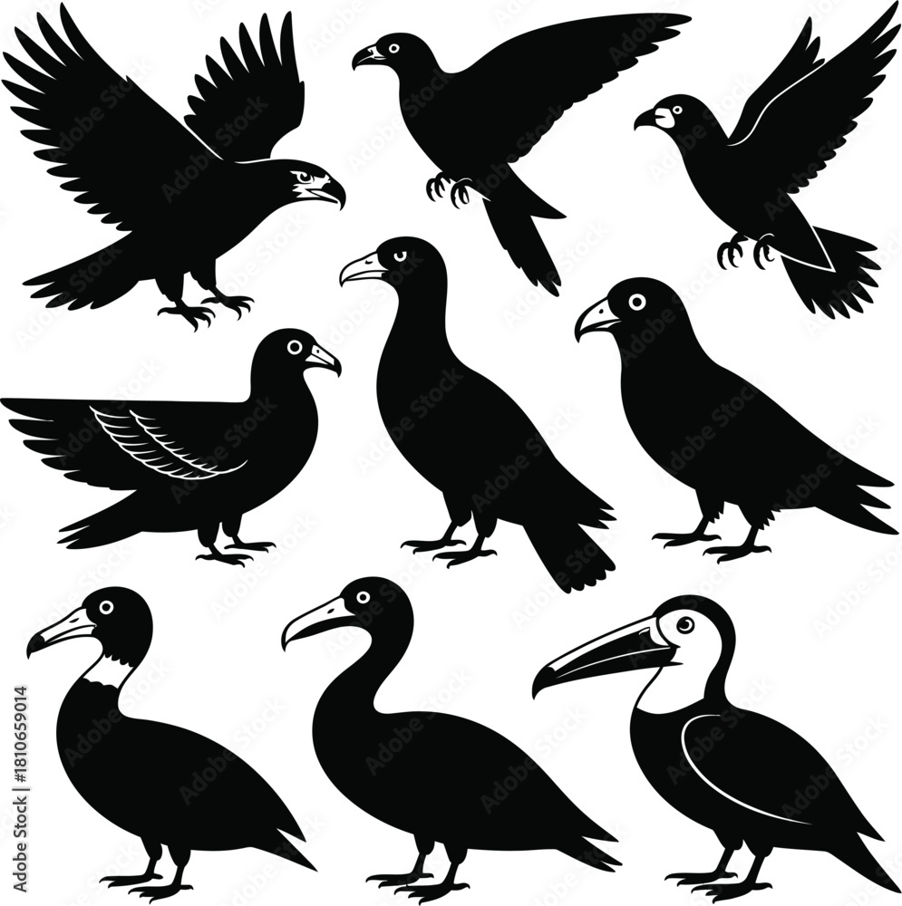 Fototapeta premium Animal Vector Bundle