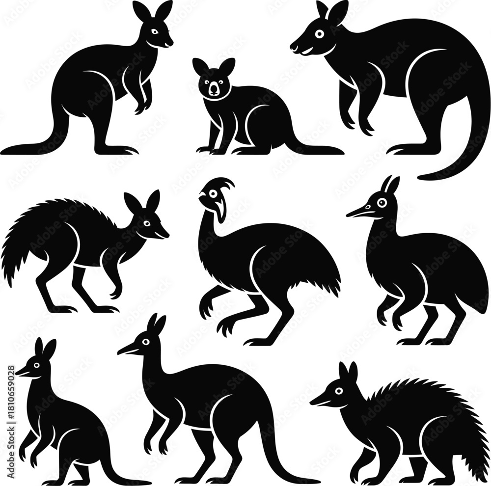Obraz premium Animal Vector Bundle