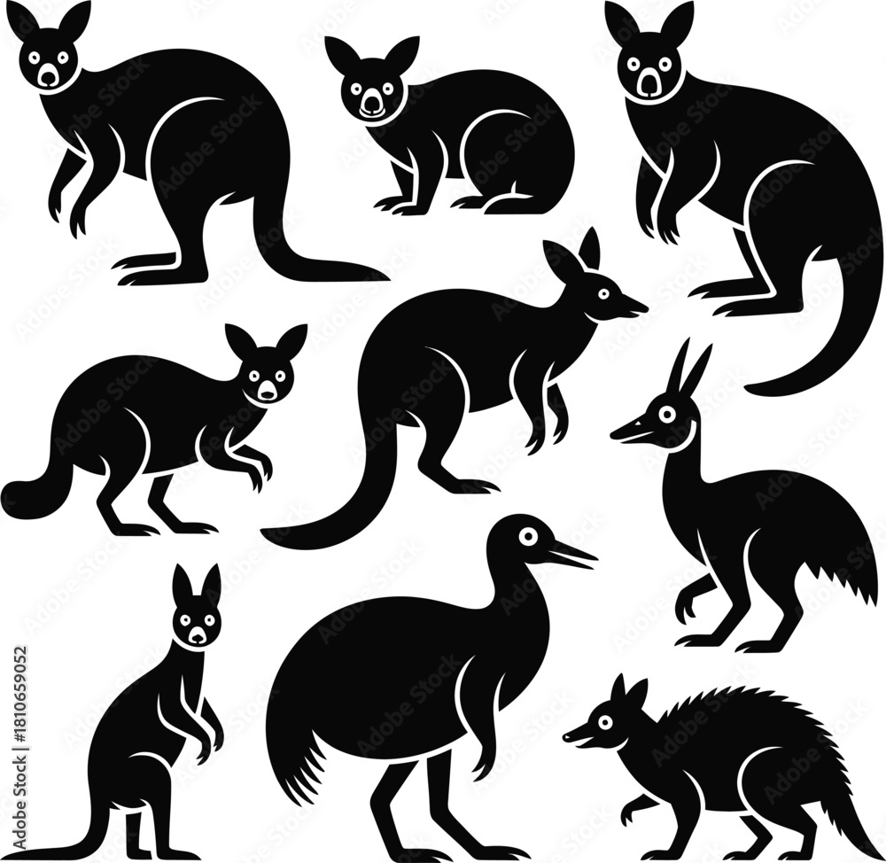 Obraz premium Animal Vector Bundle