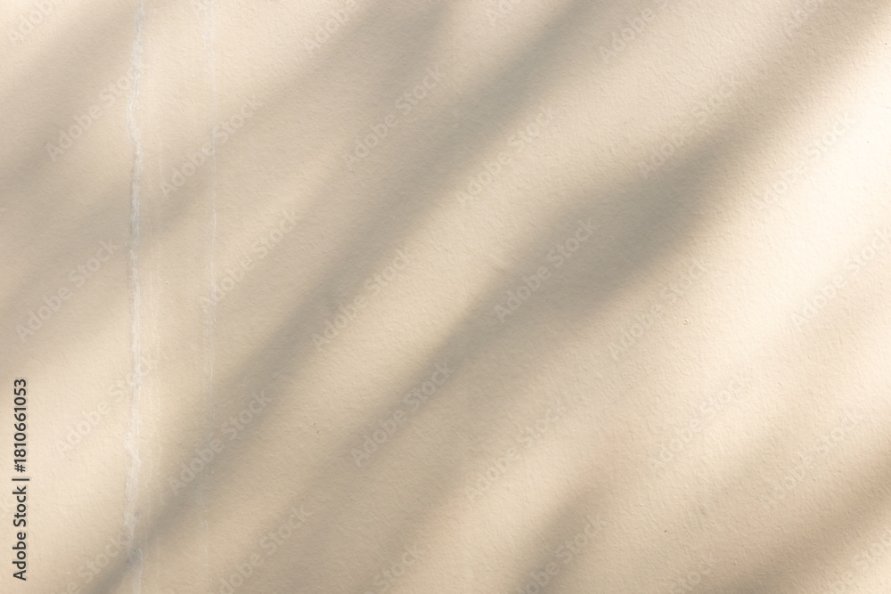 Naklejka premium Abstract natural tree branch leaves shadow on beige wall background