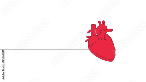 Single continuous line art anatomical human red heart silhouette. Healthy medicine concept design, one sketch outline drawing vector illustration art