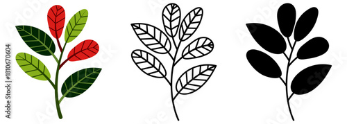 Flat vector illustration of colorful leaves