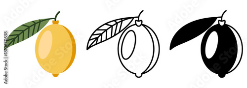 Isolated flat vector illustration of a fresh lemon