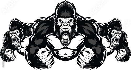 Aggressive Black and White Vector Illustration of Three Roaring Gorillas Showing Teeth and Clenched Fists for Mascot Logo Designs