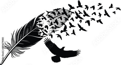 Black feather transforming into flying birds silhouette illustration representing freedom, creativity, transformation, movement, nature, and artistic abstract vector design