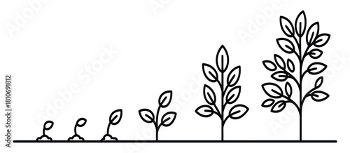 growth stages of a tree, visual concept from green leaf to mature plant, ideal for environmental education, botanical illustrations, gardening guides, sustainability projects, and nature growth .