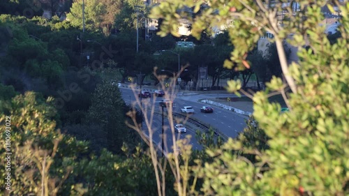 Traffic In Dark Valley Through Sunlit Trees From Above