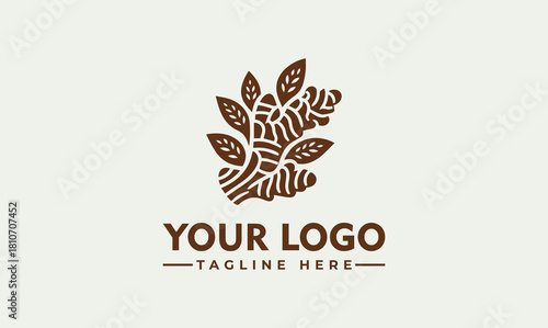 Stylized ginger root with leaves natural food vector. logo. illustration
