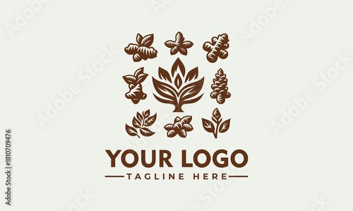 A collection of nine stylized brown leaf icons arranged in a grid for a natural brand, vector. logo. illustration