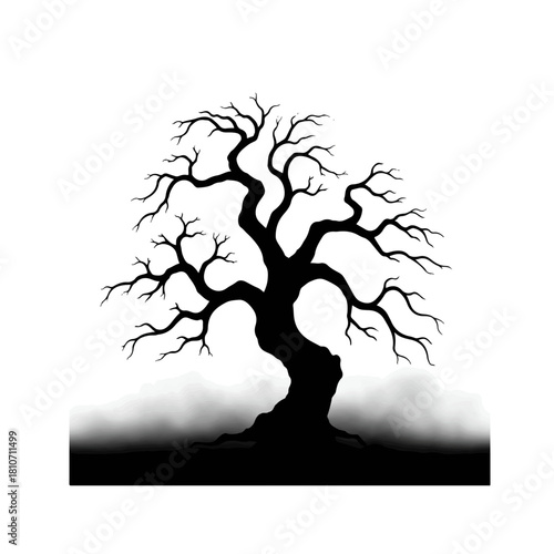 Silhouette of a gnarled ancient oak tree with bare branches against a white background set on a misty ground.