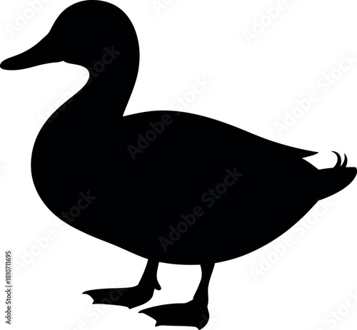 Black duck silhouette standing white bird