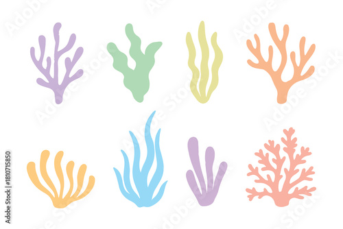 seaweeds planting marine algae and ocean corals collections