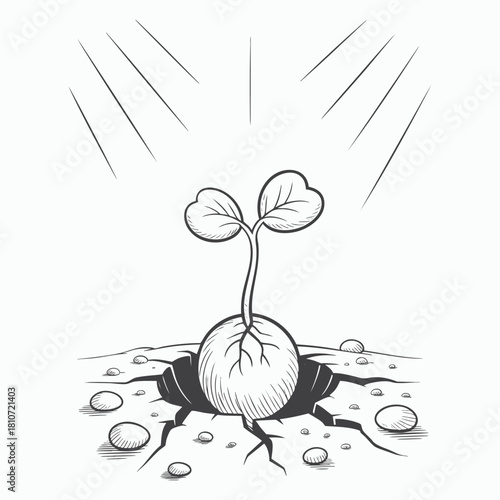 Resilient Plant Sprouting from Cracked Ground Minimalist Black and White Illustration