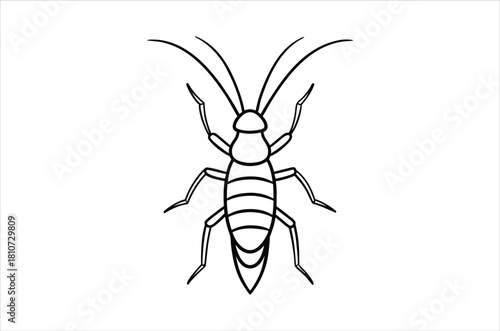 Simple drawing of an insect with long antennae and segmented body