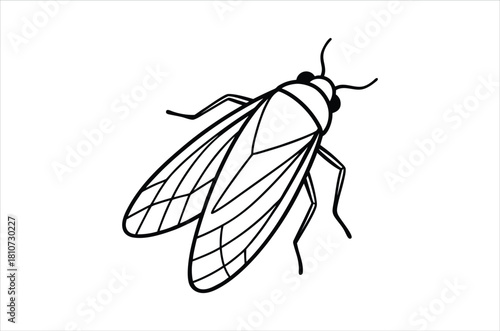 A simple black and white line drawing of a grasshopper insect