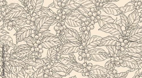 Coffee Plant Pattern with Leaves and Berries in a Hand-Drawn Style.