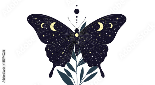 Mystical Celestial Butterfly with Moon and Stars on Wings Resting on a Plant.