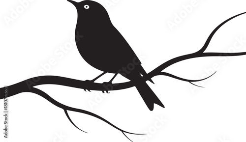 Silhouette of a bird perched on a bare tree branch against a white background