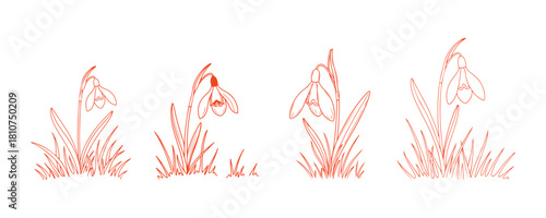 Simple background featuring a lone snowdrop surrounded by minimal grass lines.