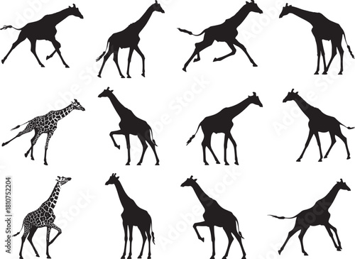 Giraffe Animal Silhouette – Black Minimalist Wildlife Symbol
