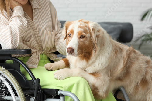 Service dog near woman in w...