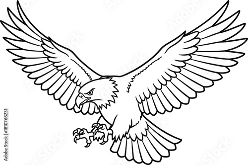 PrintMajestic eagle line art illustration, fierce raptor with wide wings spread, detailed flying bird drawing, powerful predator outline design vector