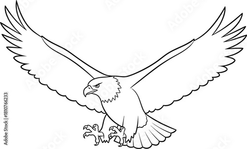 PrintMajestic eagle spreading wide wings in detailed line art, fierce raptor illustration perfect for coloring pages, wildlife designs, and educational materials