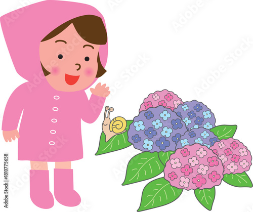 レインコートの女の子と紫陽花
