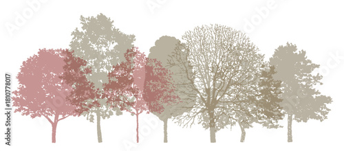 Minimal-style cad side-view tree and wetland forest section outline set, vector illustration for architectural and landscape design, autumn foliage line drawings, environmental site plans
