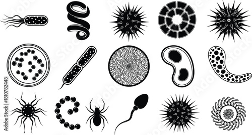 Collection of black biology and science icons, including bacteria, virus, microbes, sperm, and spiders. Vector illustration set for microbiology.