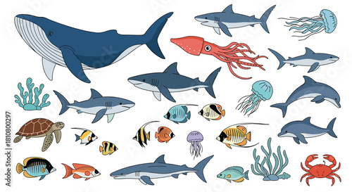 Hand-drawn illustration of diverse marine life, featuring a whale, sharks, fish, and other aquatic creatures on a white background.