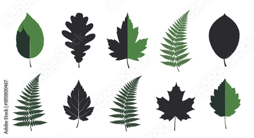 A collection of diverse tree and fern leaf silhouettes, presented as illustrations in green and dark grey, some featuring a modern split-color design.