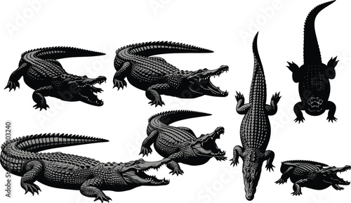 Crocodile illustration set, black vector, reptile poses, top view, walking stance, aggressive posture, wildlife design, animal artwork