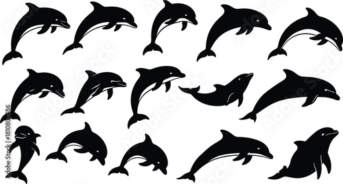 Dolphin silhouette illustration set, swimming and jumping poses, black vector, marine animal, ocean movement, aquatic design, wildlife artwork