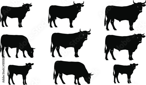 Cow silhouette grid, black vector cows, animal posture set, grazing cow poses, farm animal illustration, livestock stance collection, horned cattle