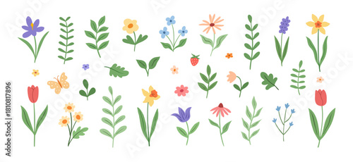 Set of spring and summer doodle flowers on a white background