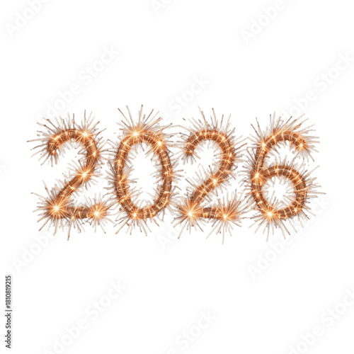 A close-up macro image of a brown hairy caterpillar larva pest on a green plant flower from New Year 2013