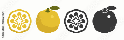 Set of yuzu fruit icon or logo design template isolated on white background. Vector illustration