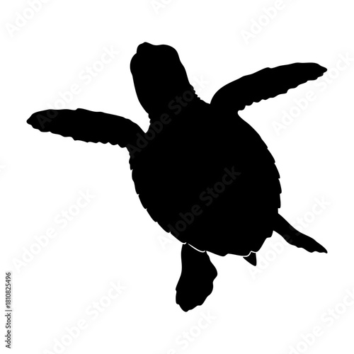 Baby Turtle Crawling Silhouette Vector Art