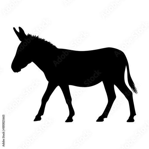 Walking Donkey Silhouette Vector Graphic Design
